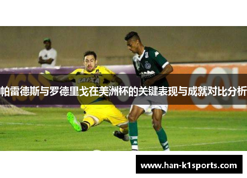 帕雷德斯与罗德里戈在美洲杯的关键表现与成就对比分析