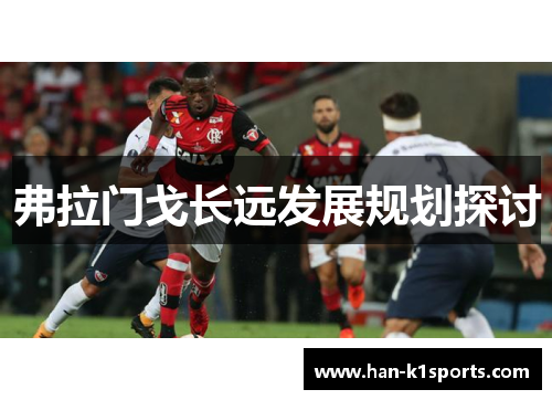 弗拉门戈长远发展规划探讨