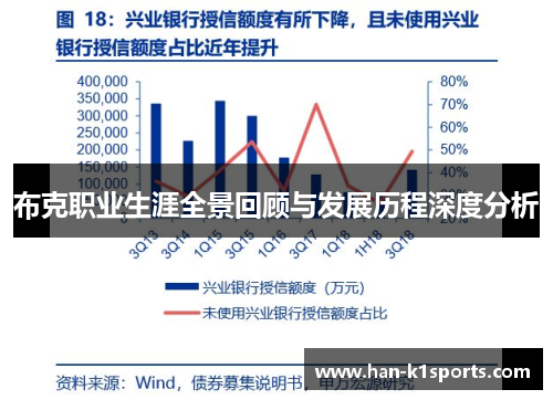 布克职业生涯全景回顾与发展历程深度分析