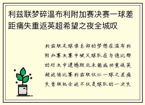 利兹联梦碎温布利附加赛决赛一球差距痛失重返英超希望之夜全城叹